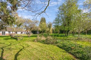 Photo 21- click for photo gallery